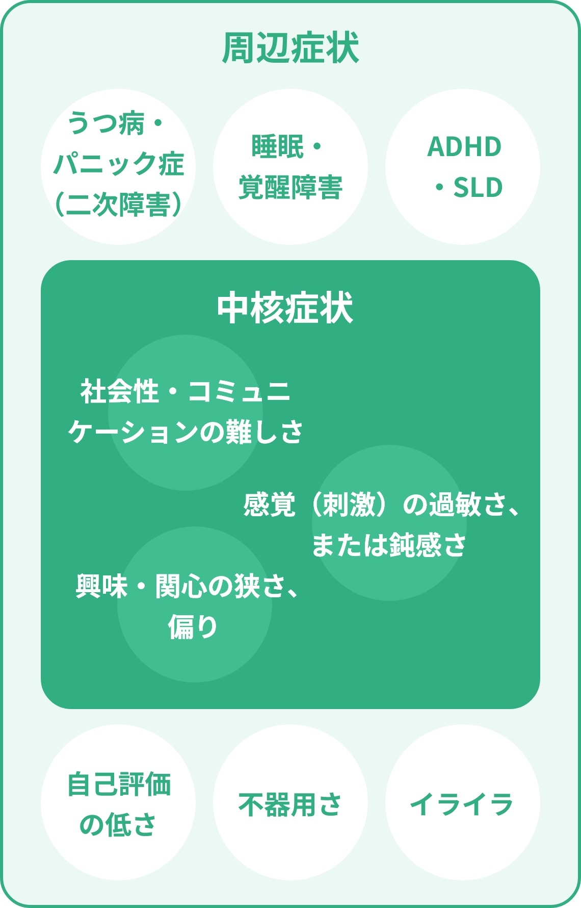 周辺症状　うつ病・パニック障害（二次障害）睡眠障害　自己評価の低さ　イライラ　不器用さ　ADHD・LD/SLD　中核症状　社会性・コミュニケーションの難しさ　感覚（刺激）の過敏さ、または鈍感さ　興味・関心の狭さ、偏り